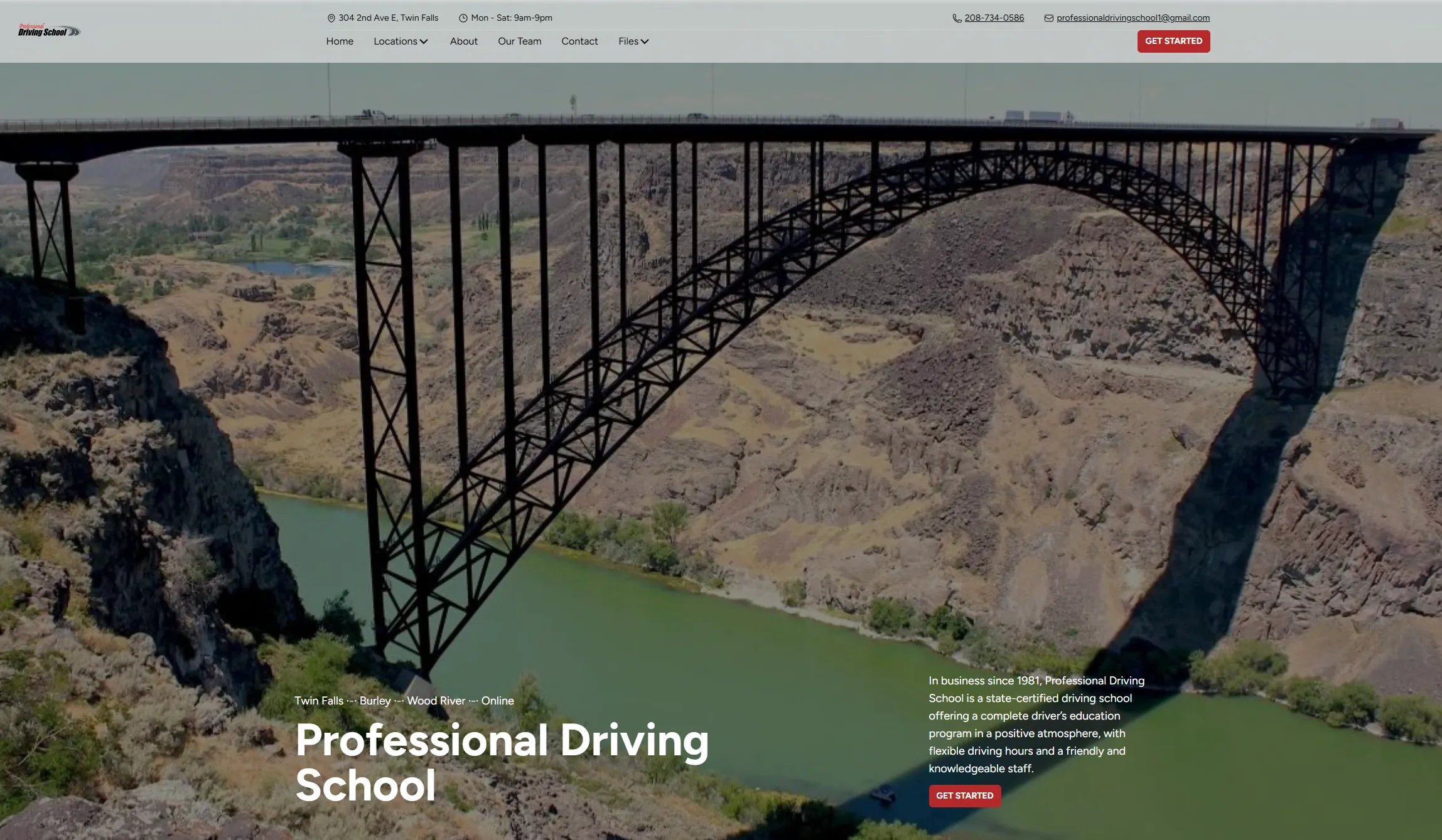 Professional Driving School